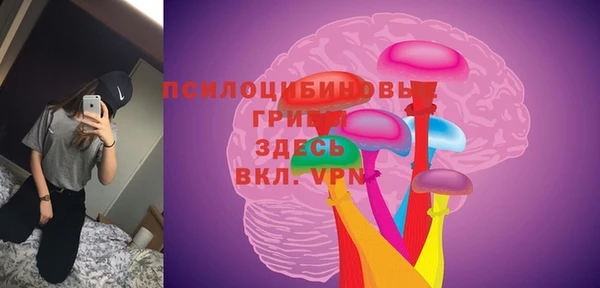 прущий лед Великий Новгород