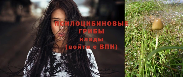 прущий лед Великий Новгород