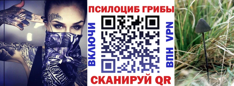 Галлюциногенные грибы мицелий  Гаврилов Посад 